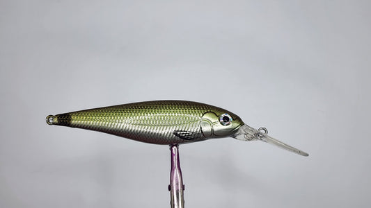 The Alberta Spott Tail Shinner