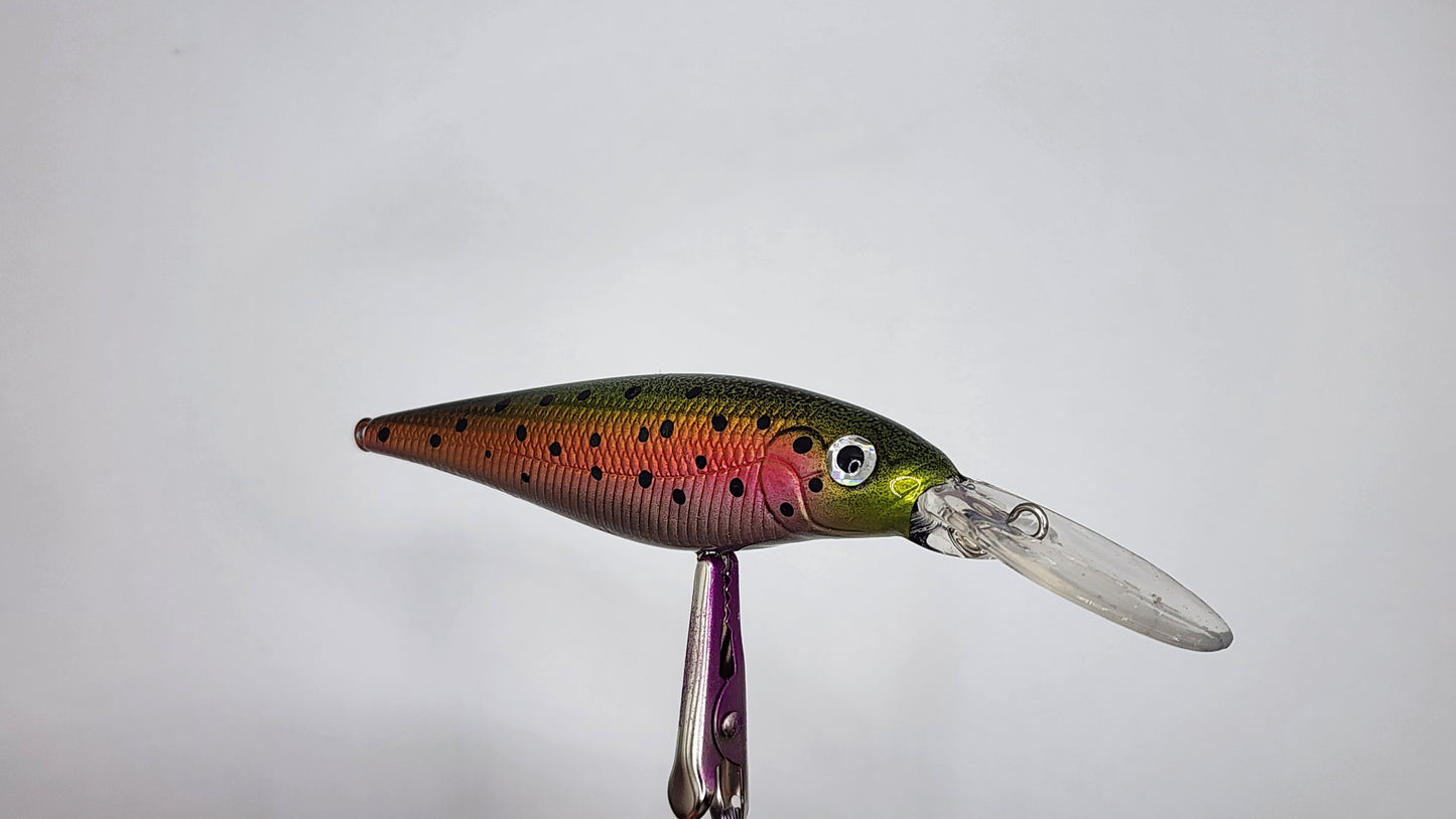 Rainbow Trout