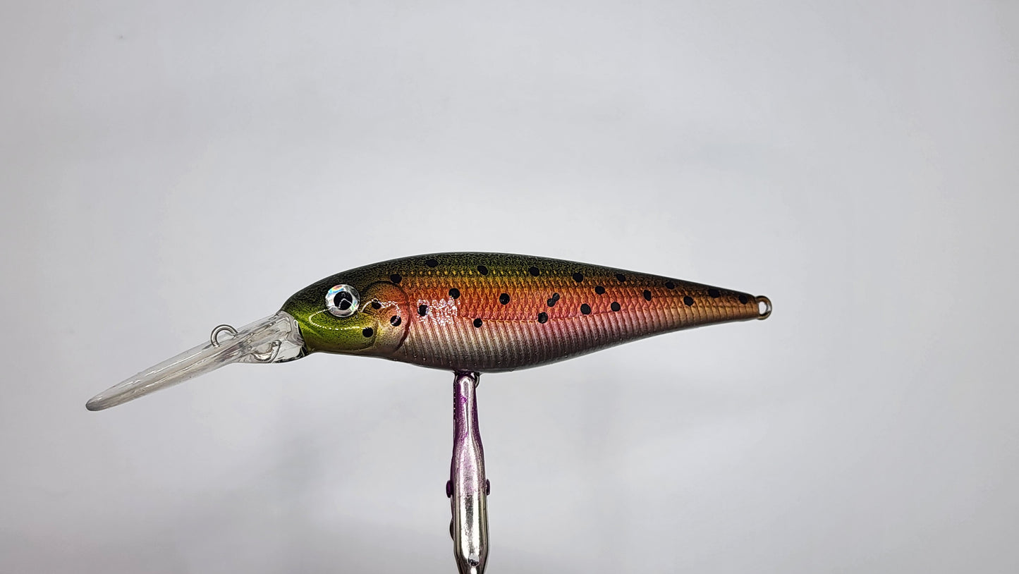 Rainbow Trout