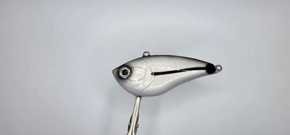 Spottail Shiner